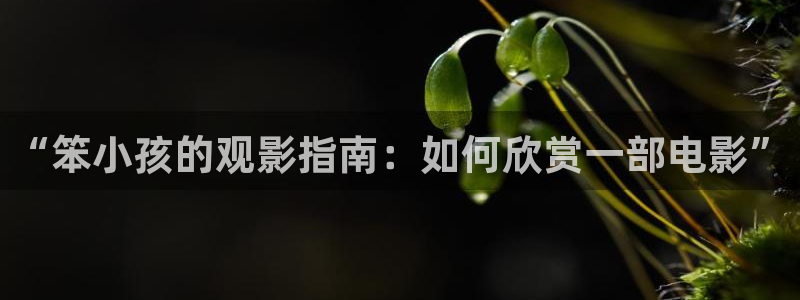 锦衣之下神马影院