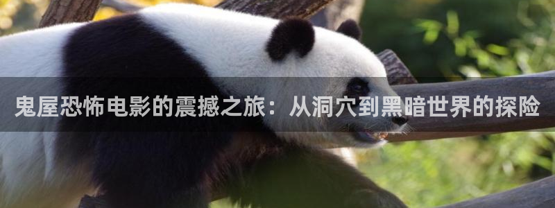 神马电影官网六度空间