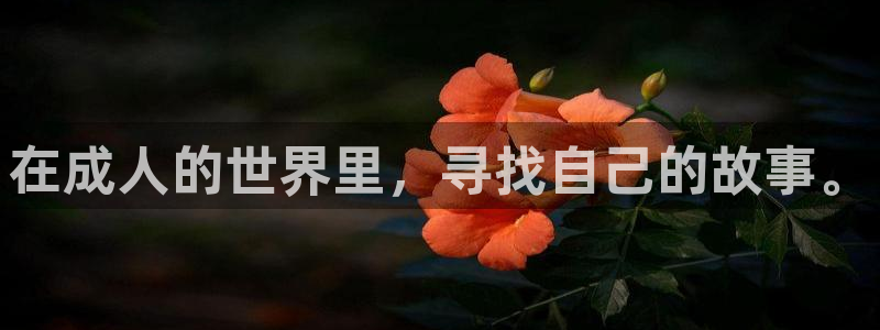 秋霞神马我不卡
