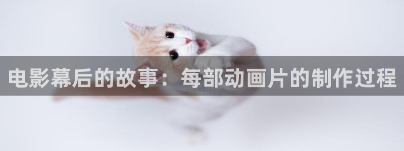 神马午夜超神第九达达兔不卡
