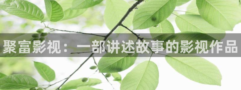 出轨同学会神马影院