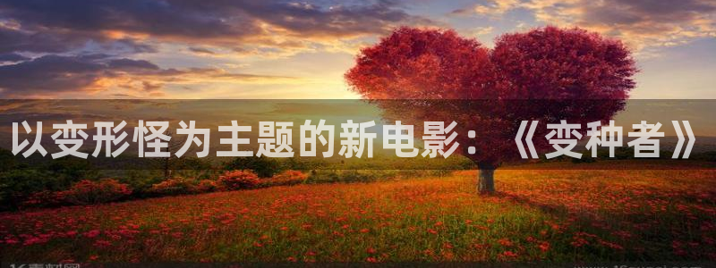 手机不卡影视叫神马