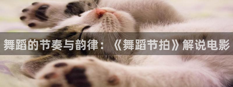 神马电影未来影院在线观看