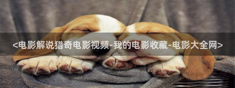 不卡影院神马影院