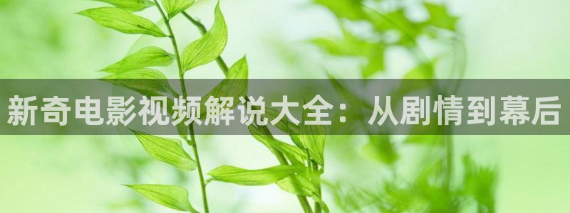 神马影院我不卡影