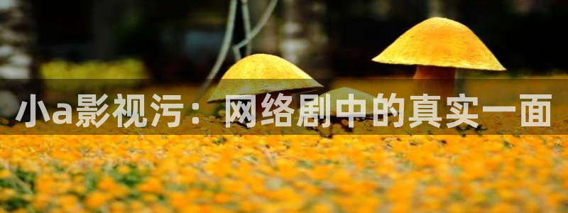 神马影院之在线观看
