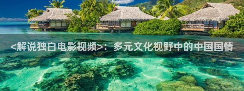 神马激情电影：<解说独白电影视频>：多元文化视野中的中国国情