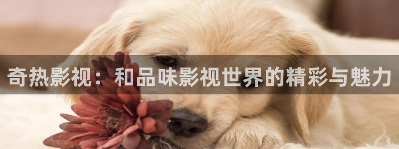 神马未来新视觉