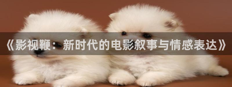 原来神马伦理影院：《影视鞭：新时代的电影叙事与情感表达》