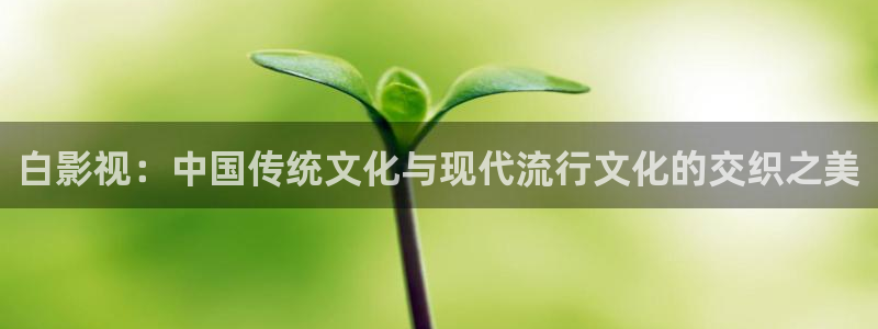秋霞神马电影院：白影视：中国传统文化与现代流行文化的交织之美