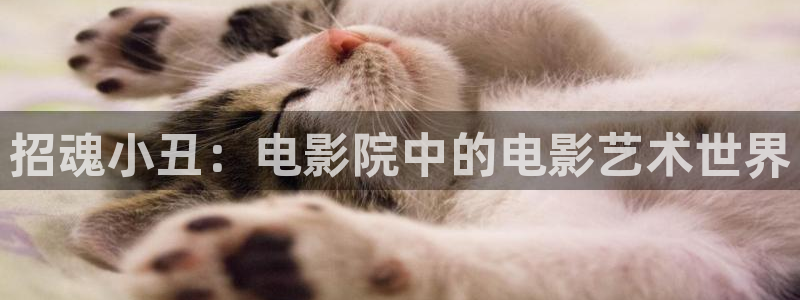 美景之屋2神马电影
