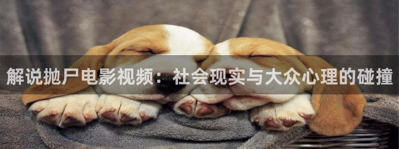 神马影院在线免费观看视频