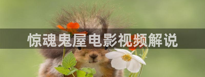 电影院神马